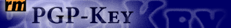 Web-Design
